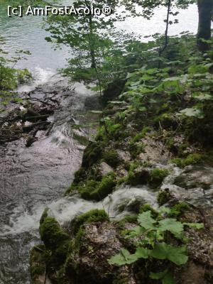 foto-vacanta la Parcul Naţional 'Plitvicka Jezera' (Lacurile Plitvice)