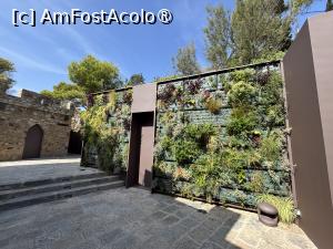 foto-vacanta la Descoperă Lloret De Mar