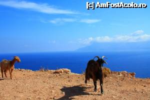 foto-vacanta la Vacanța în Creta