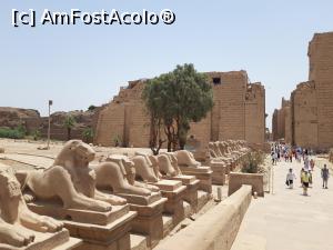 foto-vacanta la Excursie Luxor