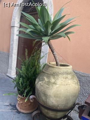 foto-vacanta la Vacanța în Taormina