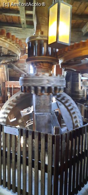 foto-vacanta la Descoperă Amsterdam şi împrejurimile