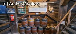 foto-vacanta la Descoperă Amsterdam şi împrejurimile