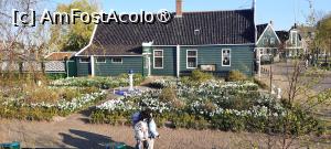 foto-vacanta la Descoperă Amsterdam şi împrejurimile