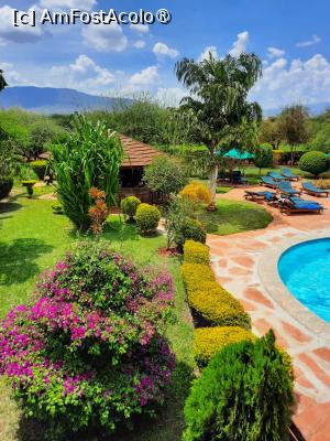 foto-vacanta la Vacanța în Kenya