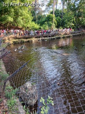 foto-vacanta la Vacanța în Kenya