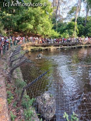 foto-vacanta la Vacanța în Kenya