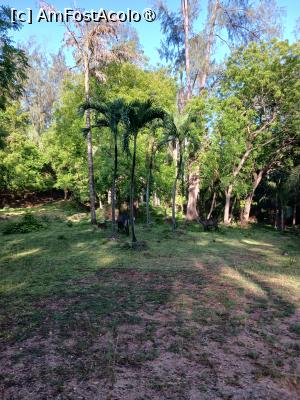 foto-vacanta la Vacanța în Kenya