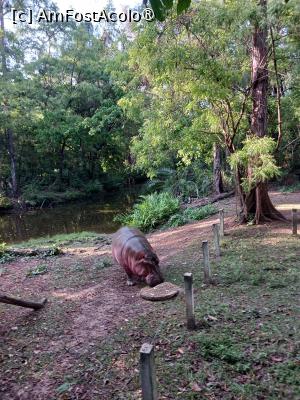 foto-vacanta la Vacanța în Kenya