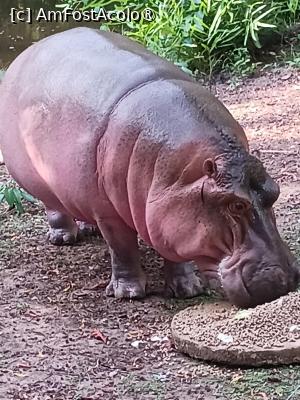 foto-vacanta la Vacanța în Kenya