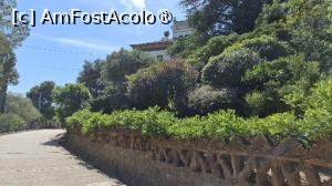 foto-vacanta la Descoperă Sevilla