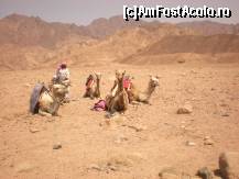 foto-vacanta la Excursii optionale cu plecare din Sharm