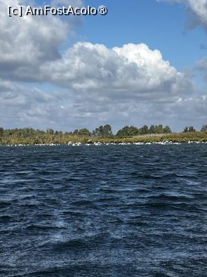 foto-vacanta la Vacanța în Deltă