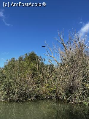 foto-vacanta la Vacanța în Deltă