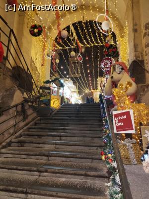 P40 [DEC-2025] Targ de Craciun