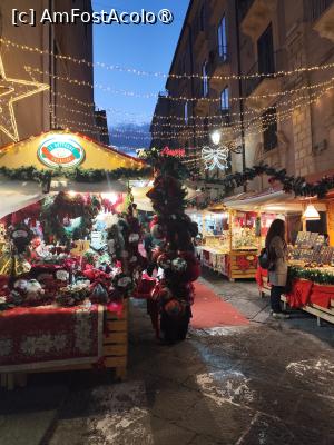 P42 [DEC-2025] Targ de Craciun