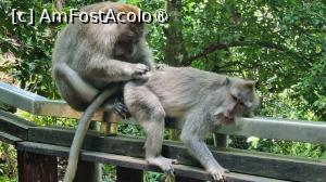foto-vacanta la Vacanța în Bali