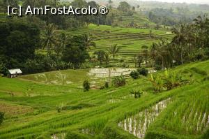 foto-vacanta la Vacanța în Bali