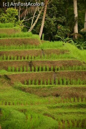 foto-vacanta la Vacanța în Bali