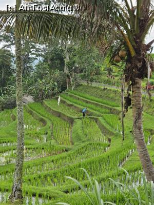 foto-vacanta la Vacanța în Bali