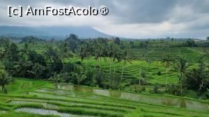 foto-vacanta la Vacanța în Bali
