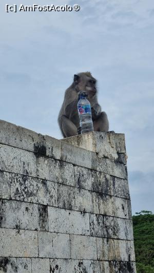 foto-vacanta la Vacanța în Bali