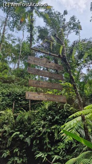 foto-vacanta la Vacanța în Bali
