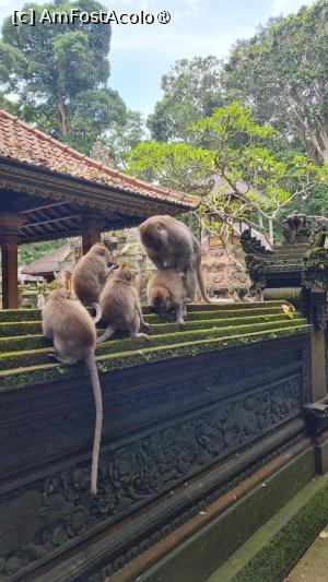 foto-vacanta la Vacanța în Bali