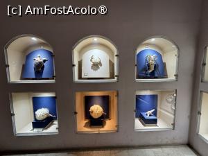 foto-vacanta la Descoperă Abu Dhabi - Orașul Ideal