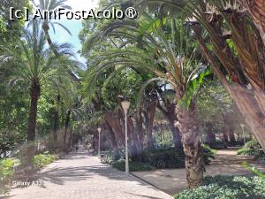 P36 [MAY-2025] În parcul oraşului Malaga