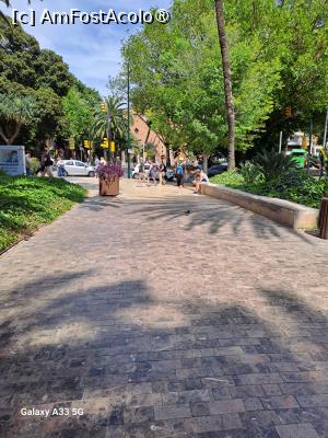 P37 [MAY-2025] În parcul oraşului Malaga