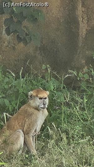 foto-vacanta la Descoperă Senegalul