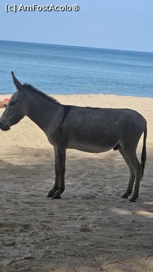 foto-vacanta la Descoperă Senegalul
