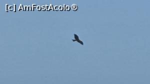 foto-vacanta la Descoperă Senegalul