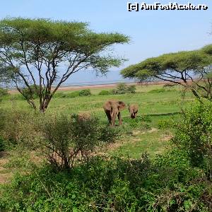 foto-vacanta la Descoperă Tanzania