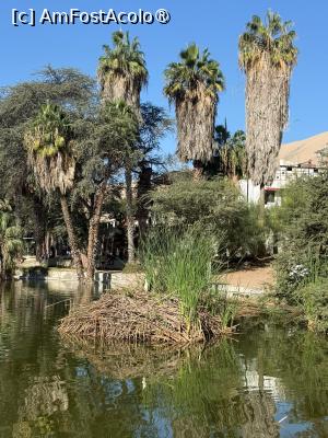 P21 [AUG-2026] Deșertul Huacachina