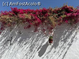 P22 [AUG-2026] Arequipa