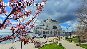 foto-vacanta la [Re]Descoperă Litoralul românesc
