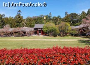foto-vacanta la Vacanța în Japonia