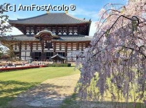 foto-vacanta la Vacanța în Japonia