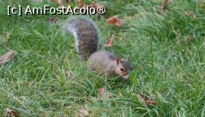 foto-vacanta la Vacanța în Milano