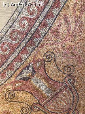 P22 [MAR-2026] Edificiul Roman cu Mozaic. Porumbelul, ascuns sub un vrej.