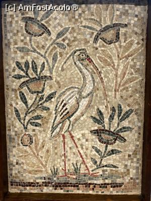 P23 [MAR-2026] Edificiul Roman cu Mozaic. Mozaic din expoziția studenților de la Alba Iulia.