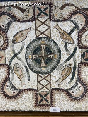 P26 [MAR-2026] Edificiul Roman cu Mozaic. Mozaic din expozitia studenților de la Alba Iulia.