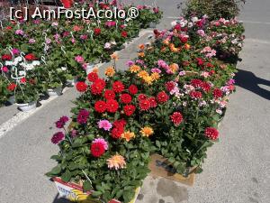 foto-vacanta la La pas prin Constanța