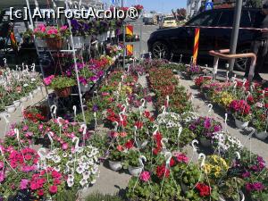 foto-vacanta la La pas prin Constanța