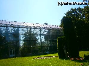 foto-vacanta la Grădina botanică Cluj Napoca