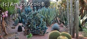 foto-vacanta la Descoperă zona Marrakesh