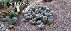 foto-vacanta la Descoperă zona Marrakesh