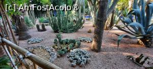 foto-vacanta la Descoperă zona Marrakesh